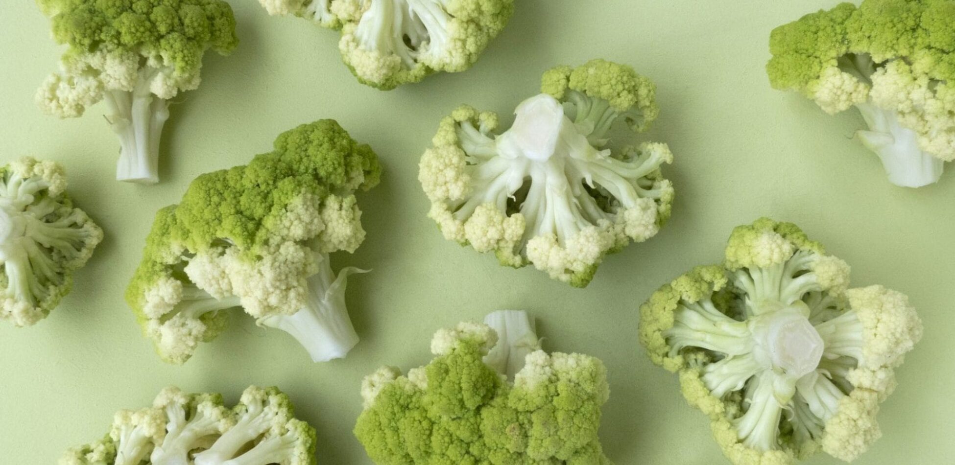 You are what you eat.