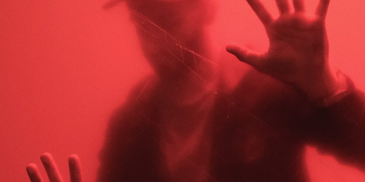 VM & Window Displays