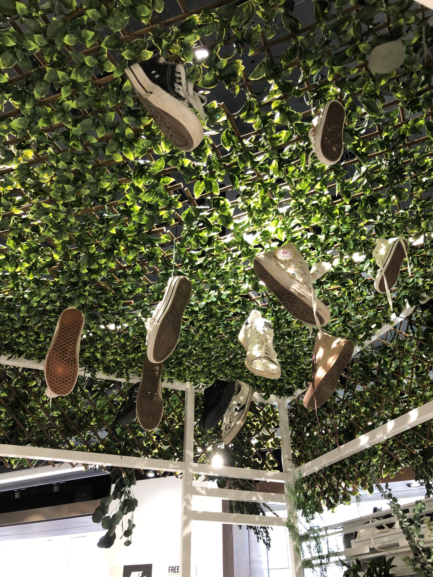 Sustainability display