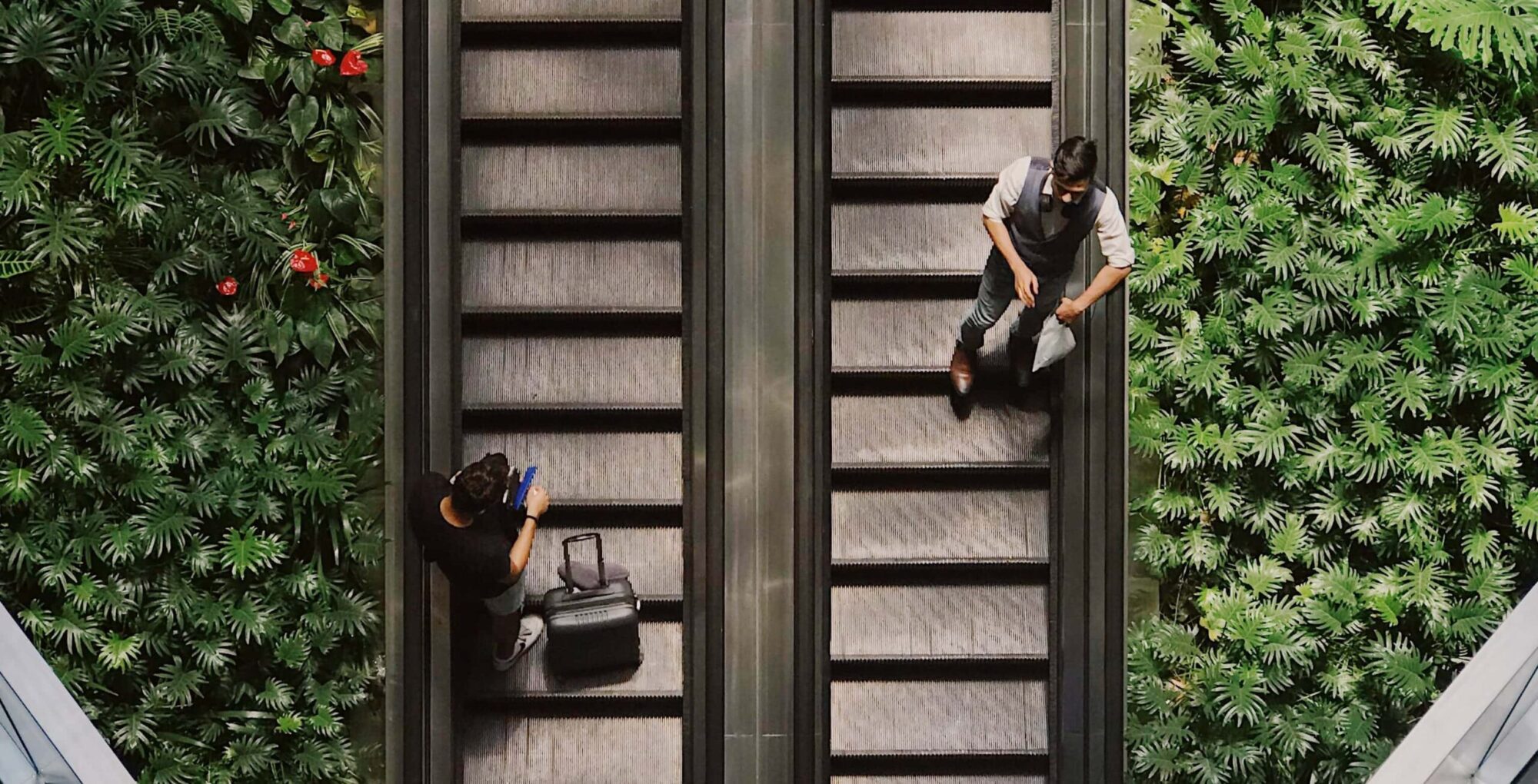 Rewilding Retail with Biophilic Design