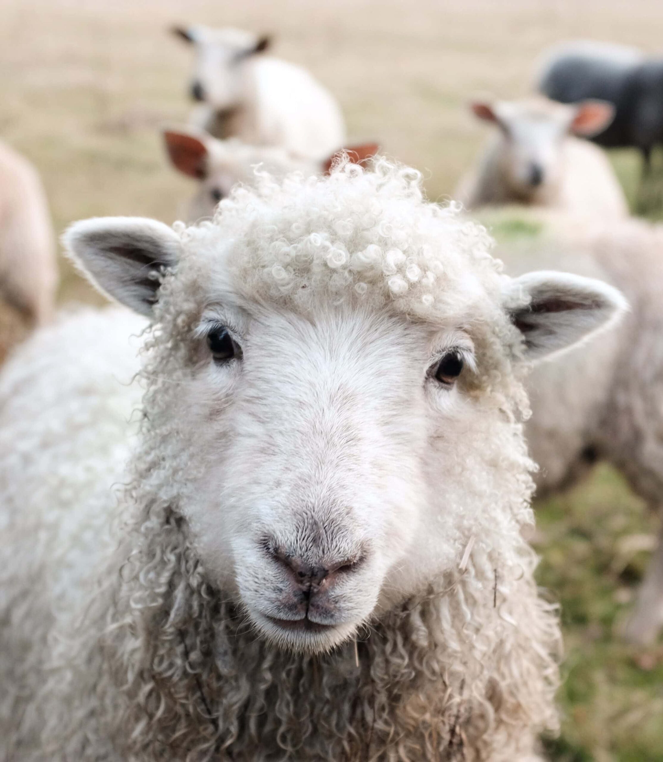 digital in retail stores